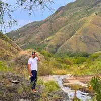 allanleitton profile