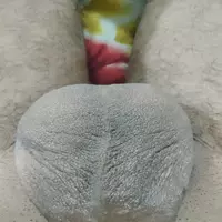 alokranjandash profile