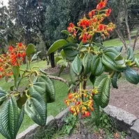 avafoster profile
