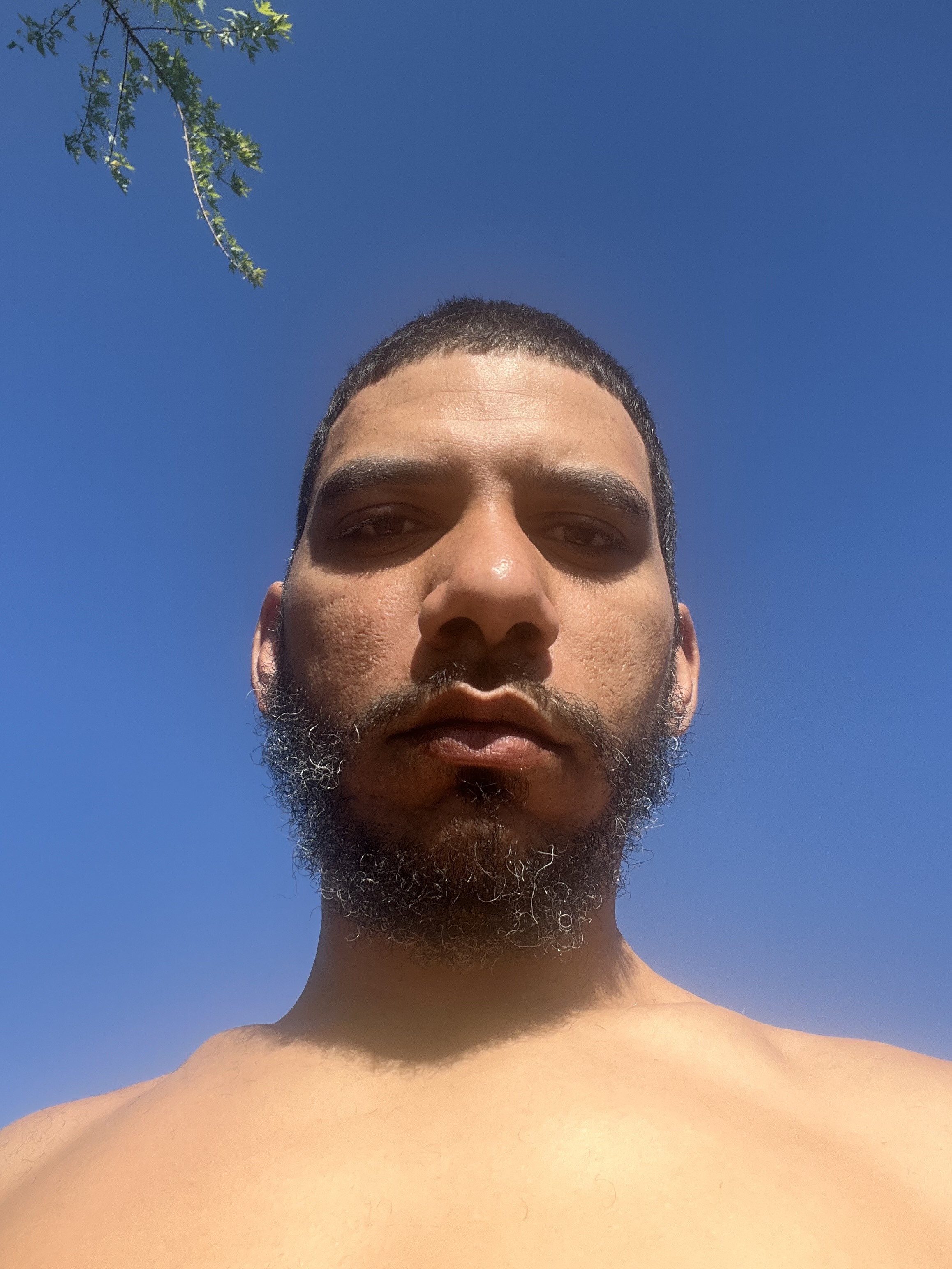 CaptainHookDion Avatar