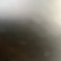 cheyennee profile
