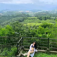 daniand profile
