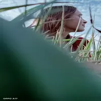 dieracockayne profile
