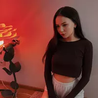 dinamoor profile