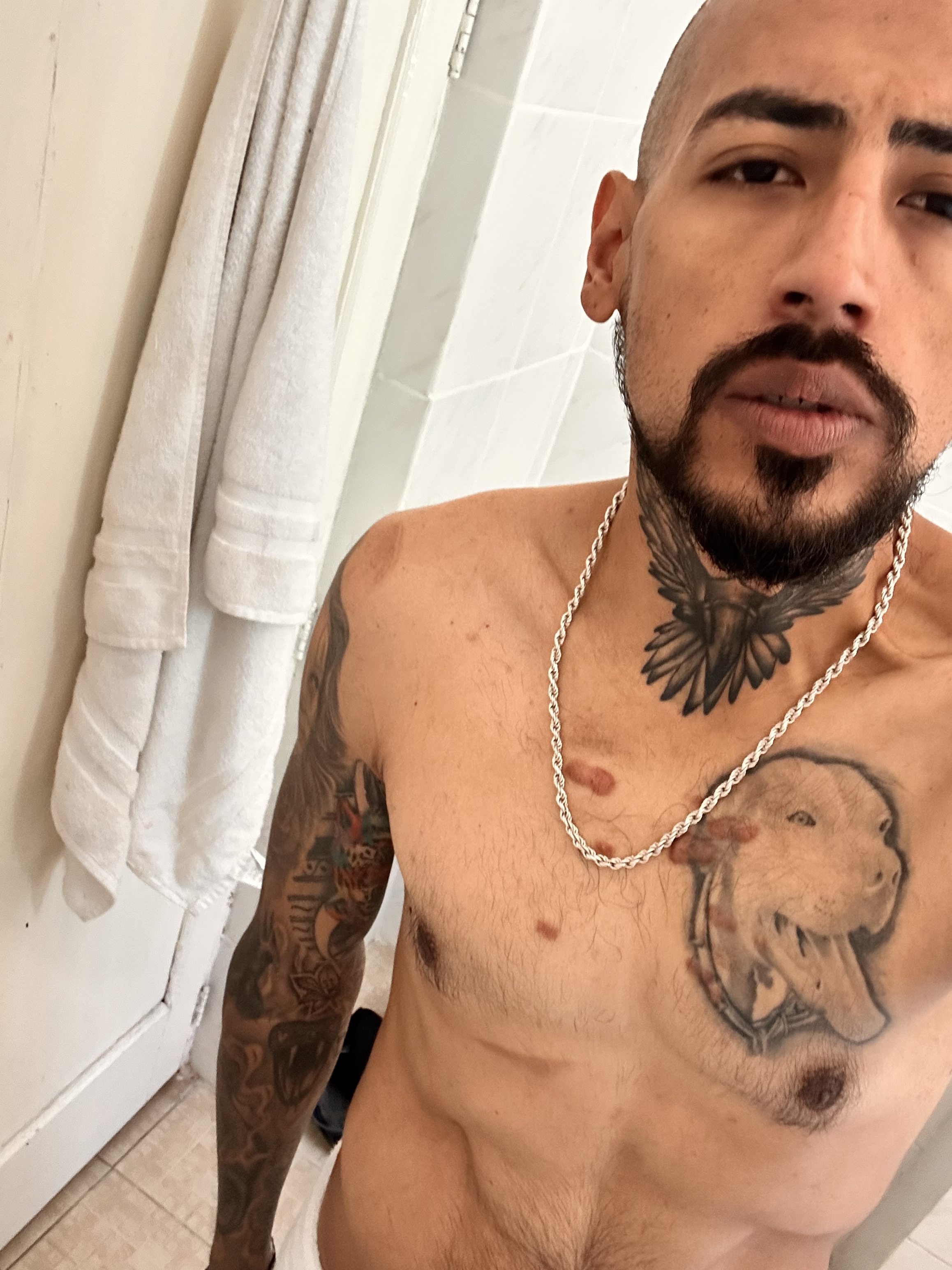 Afroditaydino Avatar