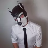 dogcz1 profile