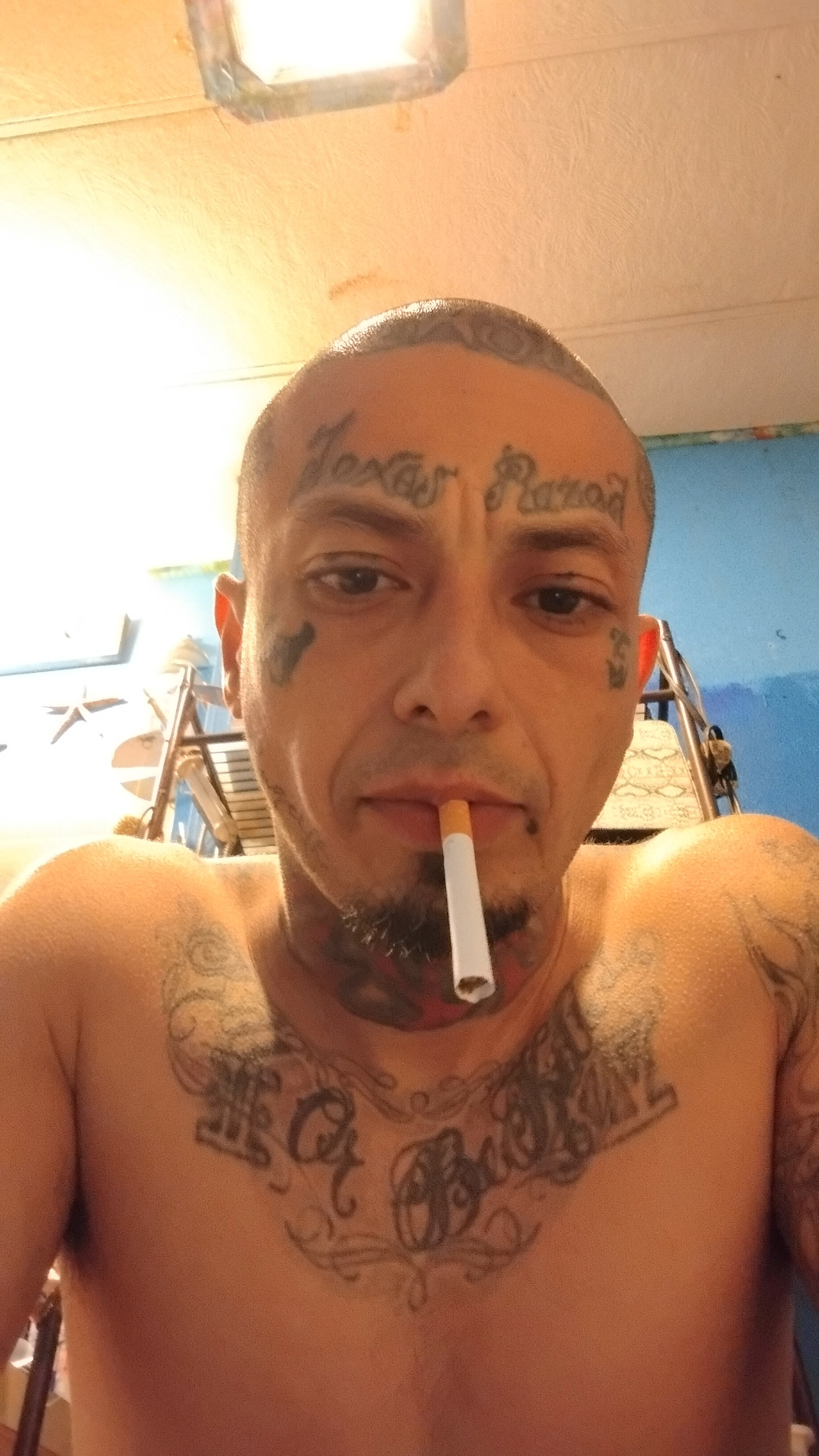 EnlargedPerception Avatar