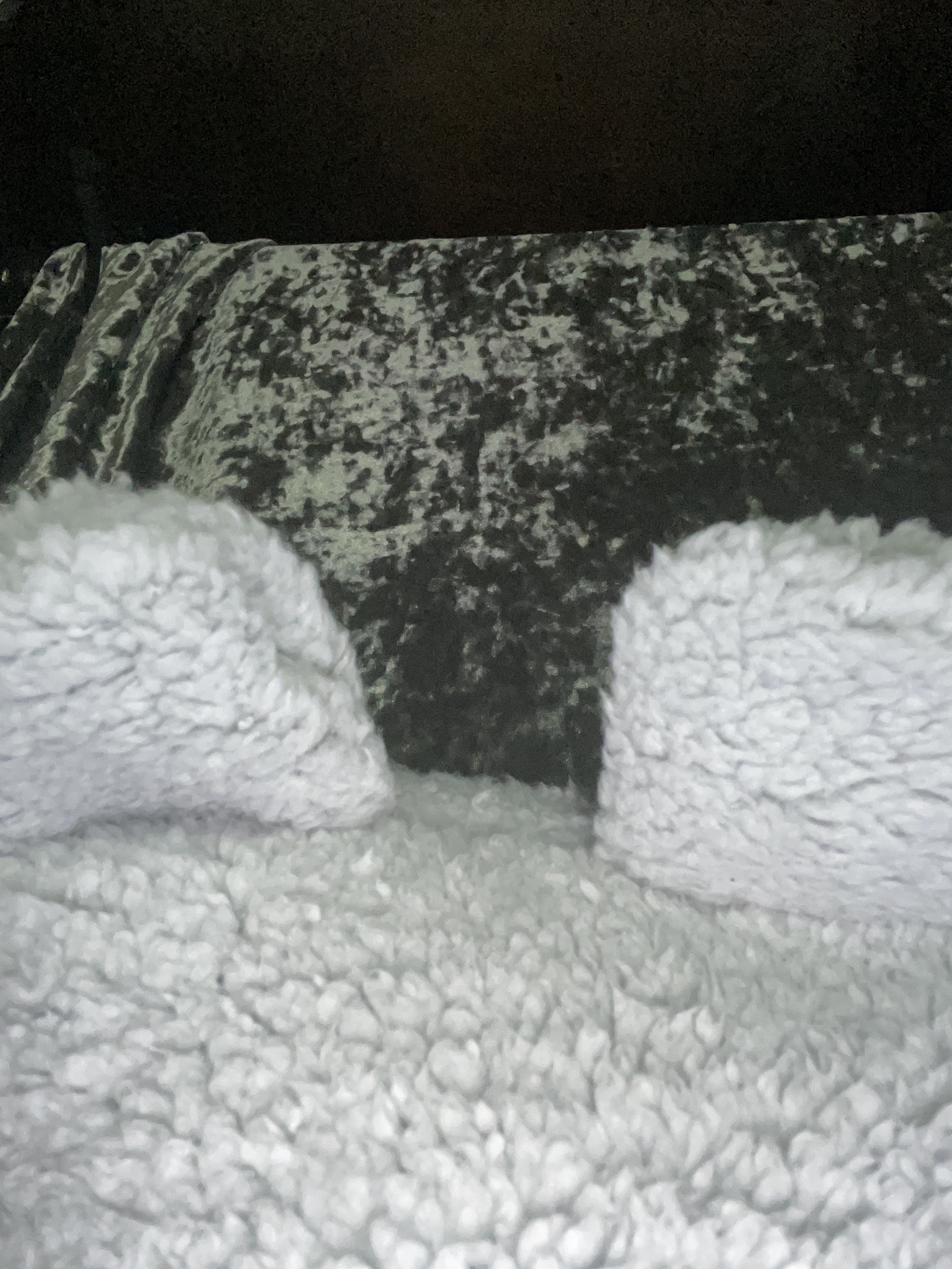 goddessliyah44 Avatar