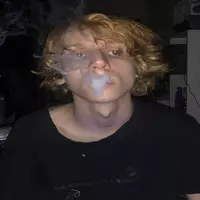 h333x-nelly profile