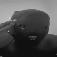 jefflyblackdick profile