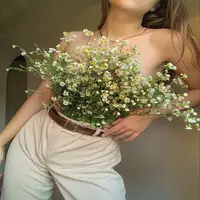 Sex cams model avatar pic - jessica-tasty