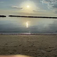 leilahidealism profile