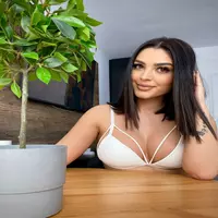 lexistorm profile