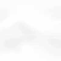 liastann profile