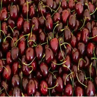 little-cherryyy profile
