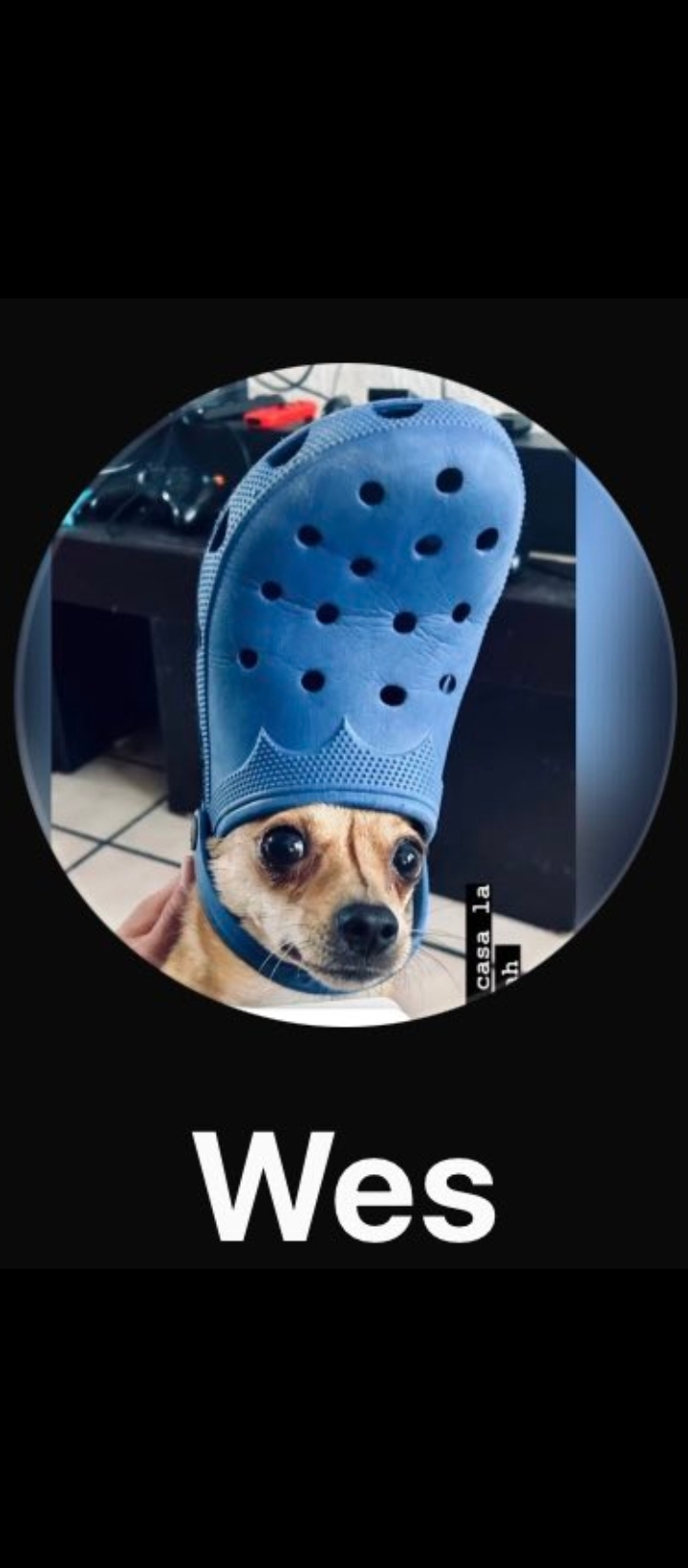 littleboybigheart Avatar