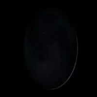 lolabunnys profile