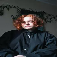 looly-rise profile