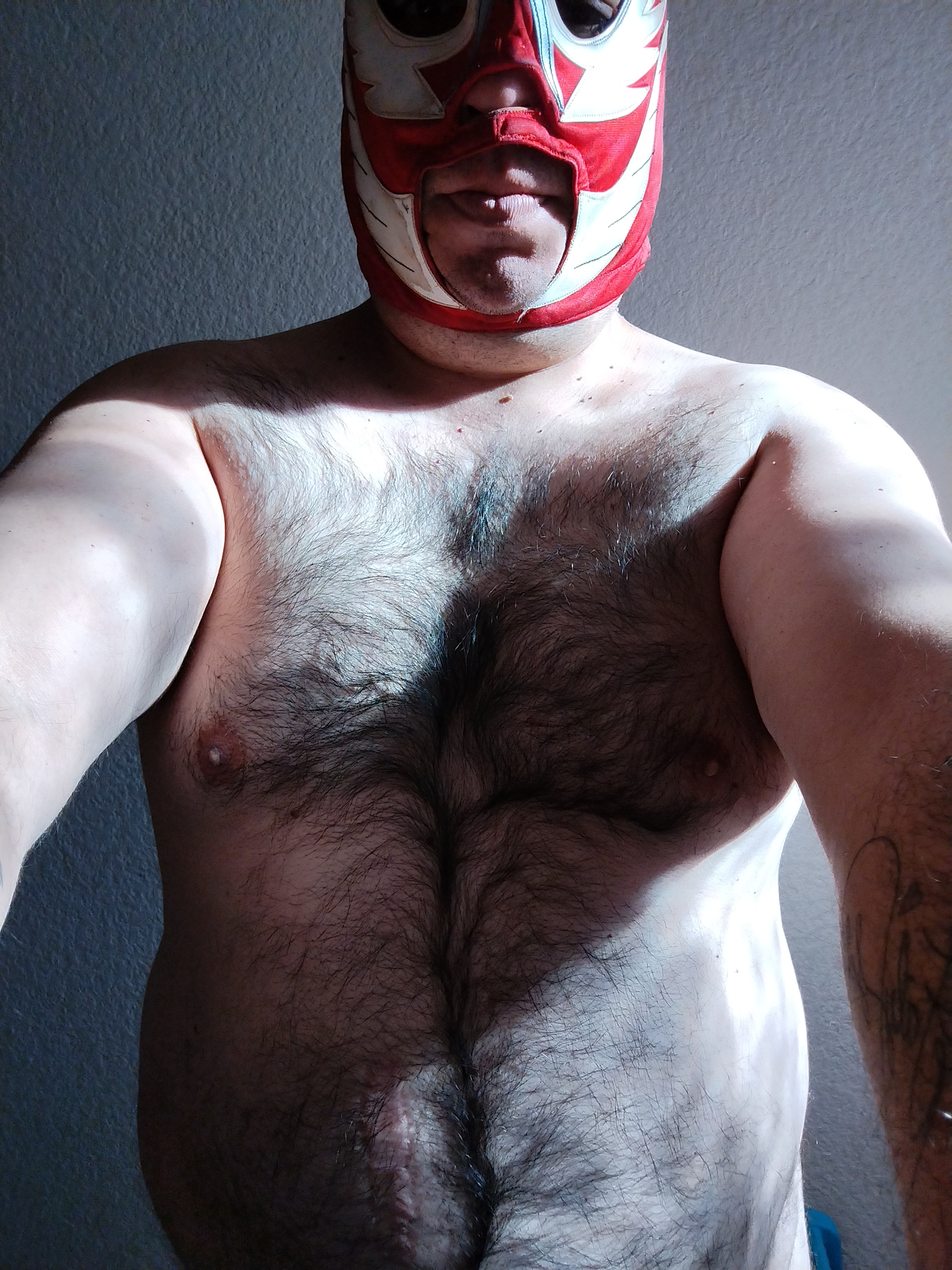 luchadorSumiso Avatar