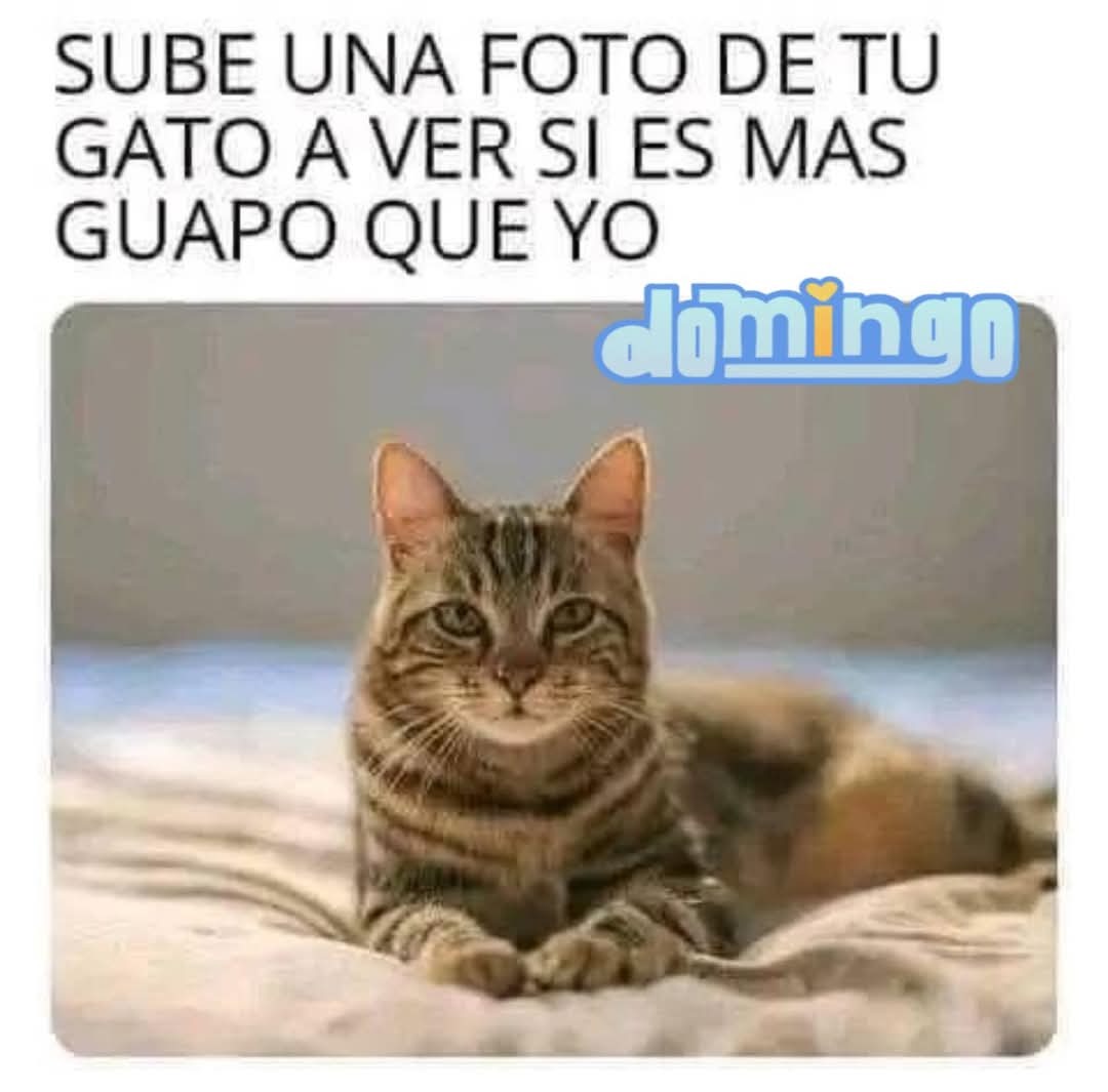 LushInterplay Avatar