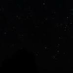 Micaela-Dixon Avatar