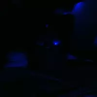 mngcrown profile