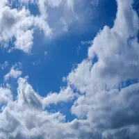 mngcrown profile