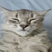 mrwild79 profile