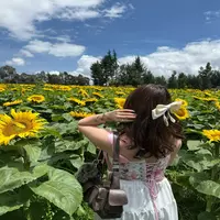 Sex cams model avatar pic - namiwolff