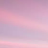 petulatrue profile
