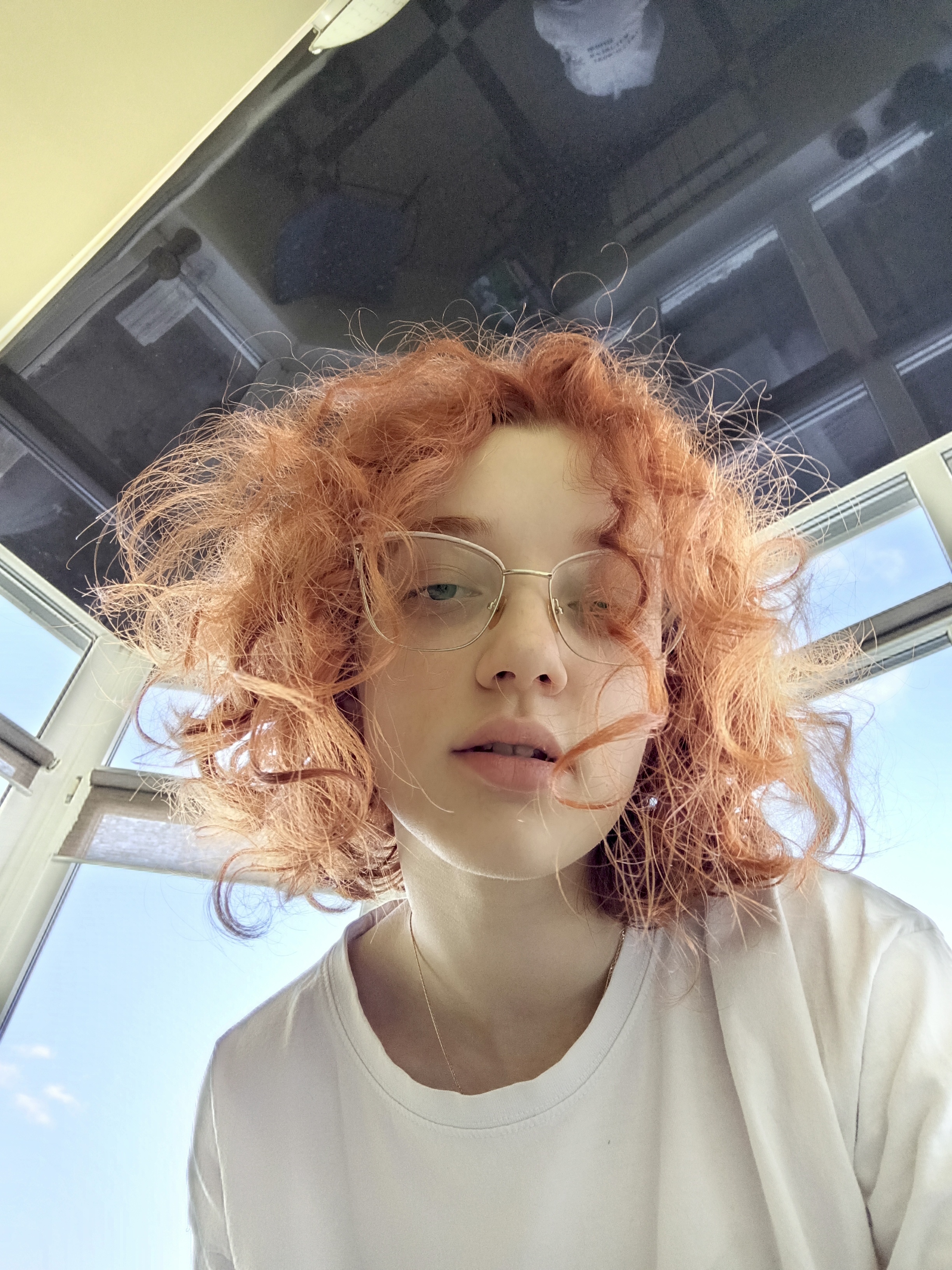 PhilomenaCurvey Avatar