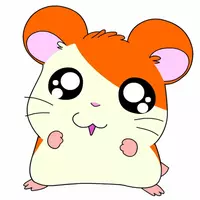 sabriinastar profile