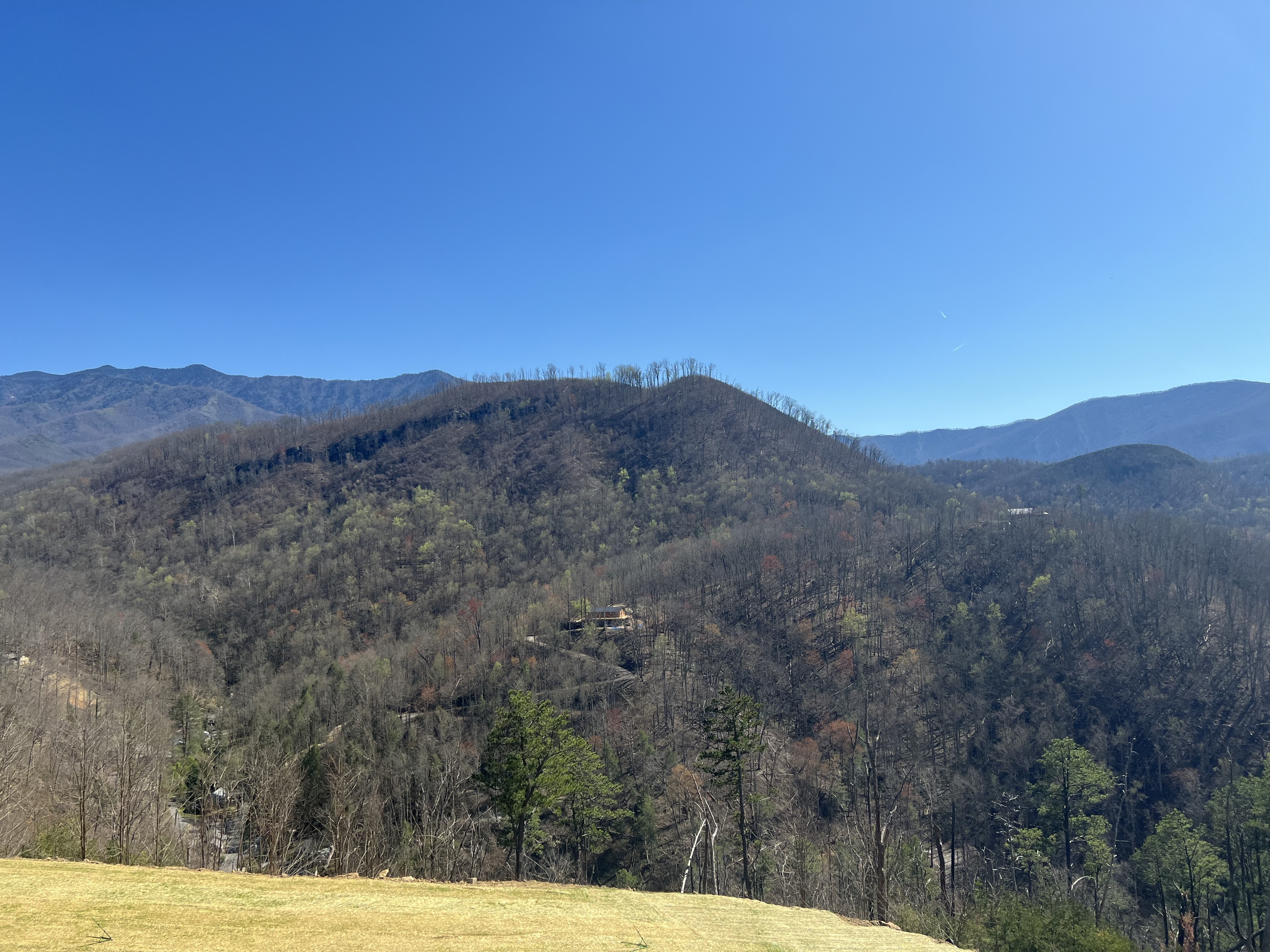 Sexylatinamami1069 Avatar