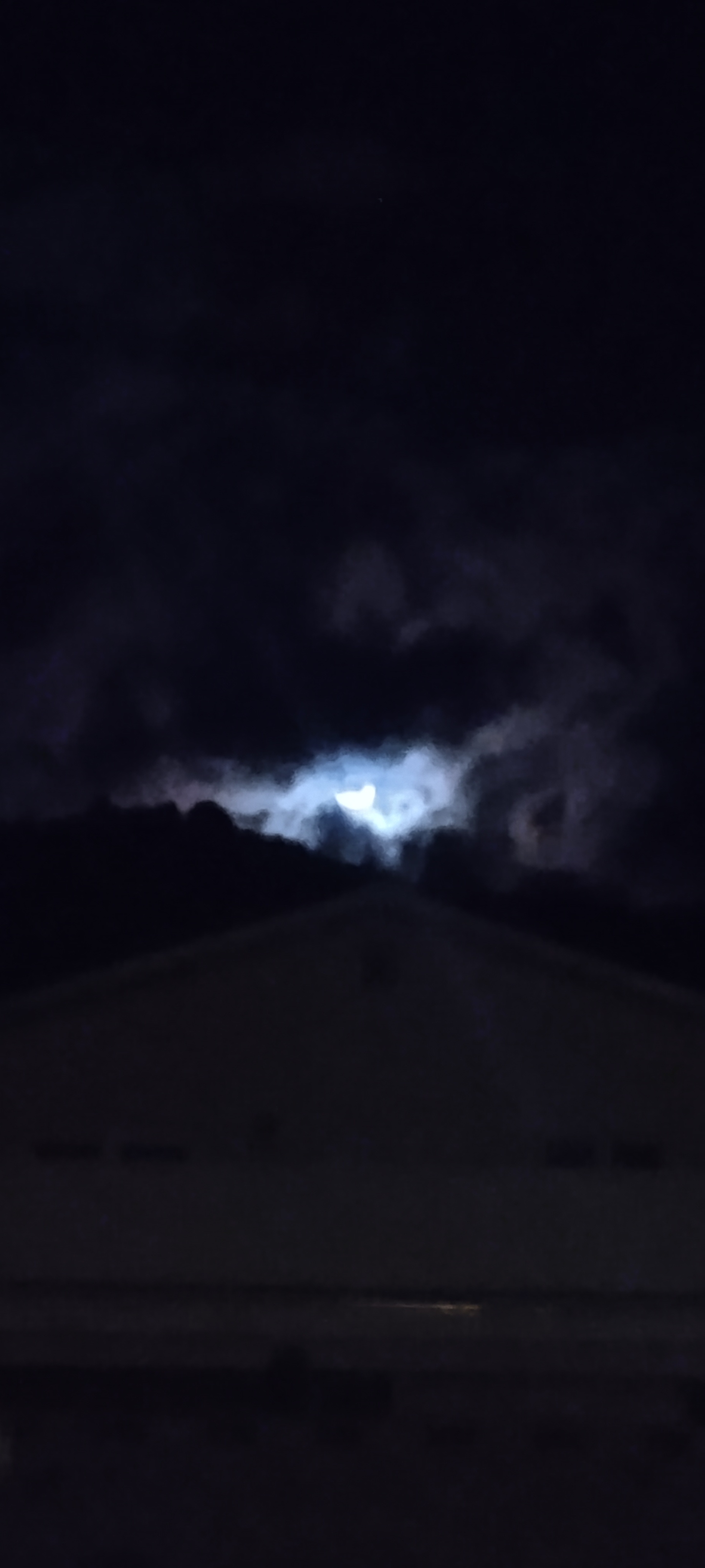 SimpfortightpussyCompetence Avatar