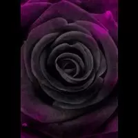 smileyboohearse profile