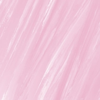 sophiacastillo profile