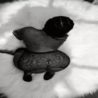 spoilmykittywet profile