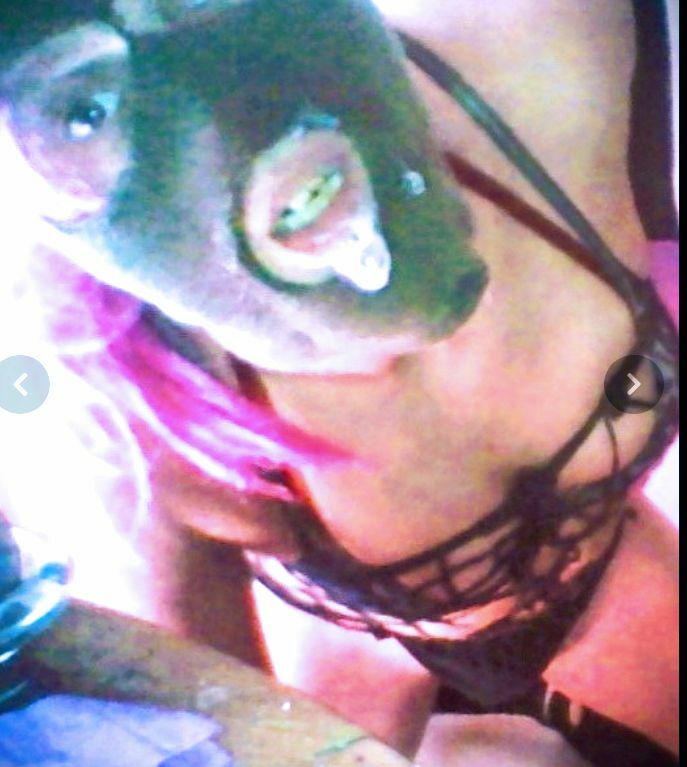 Bambii stupid bimbo fuckdoll 4u Avatar