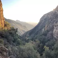 sunnycthru profile