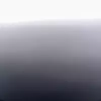 tdub4209999999 profile