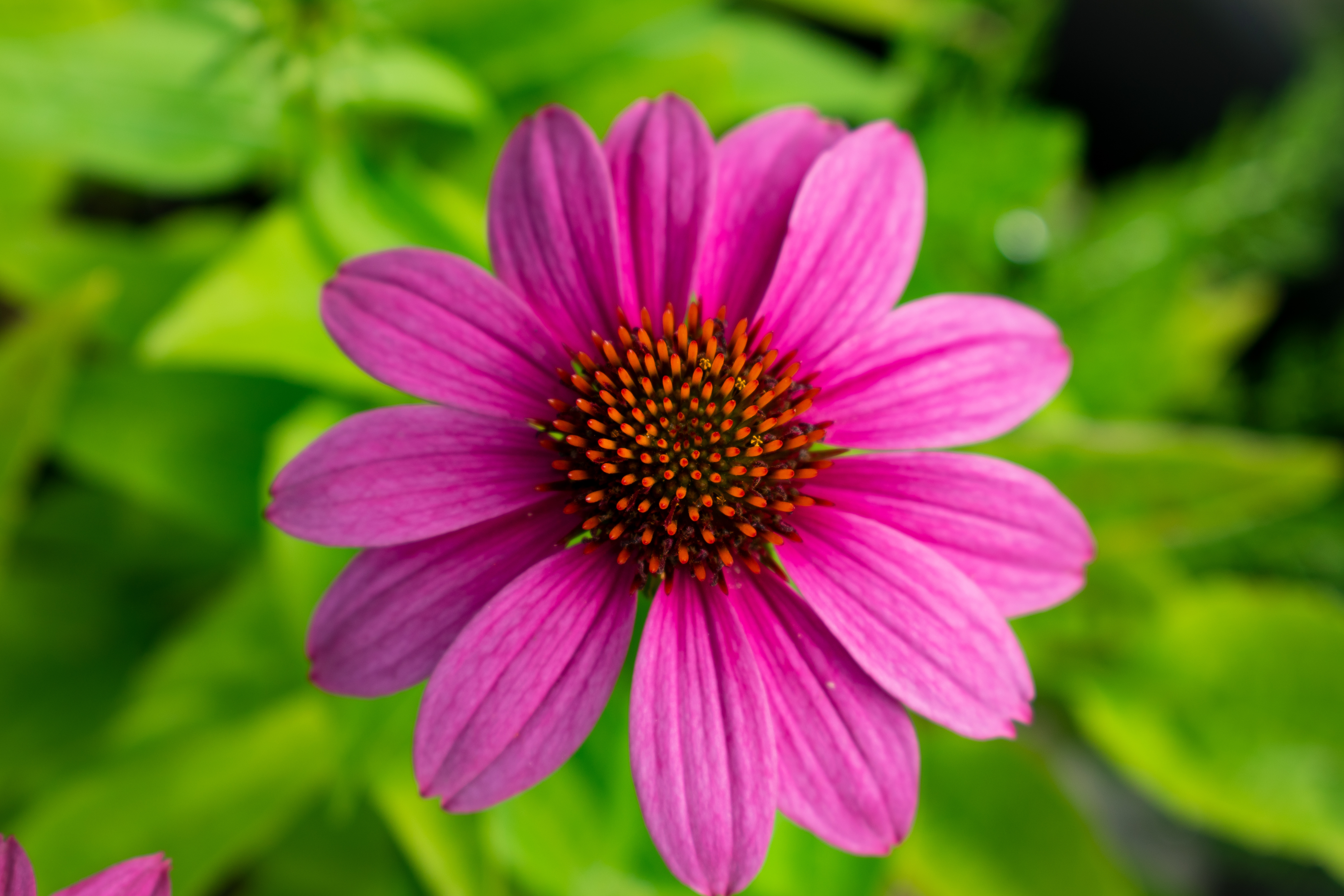 test-model-321 Avatar