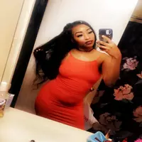 thehoneybee profile