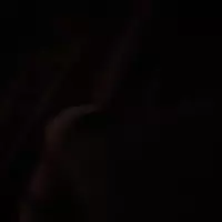 thickmaddamns profile