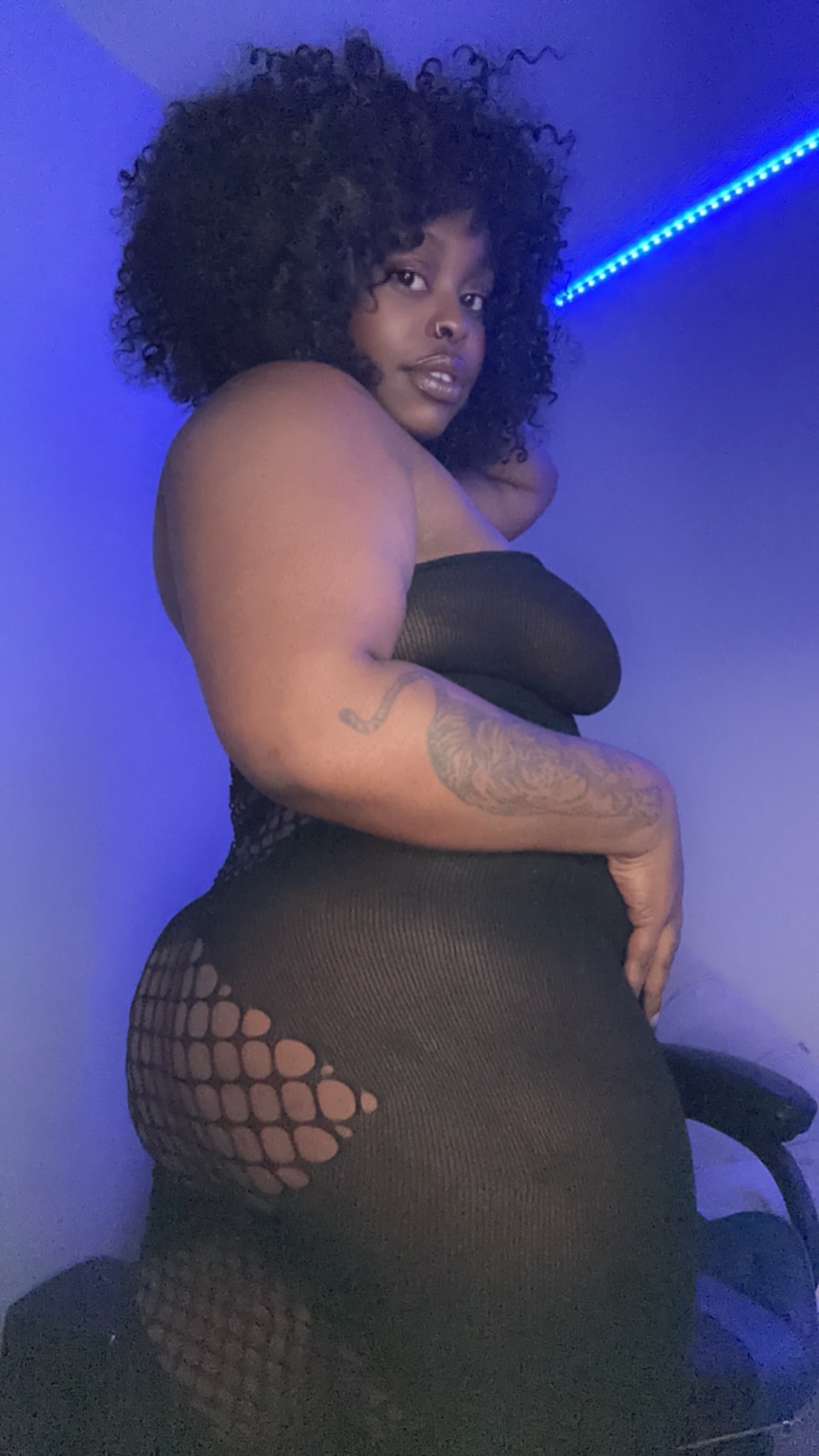 tropicalmystery Avatar