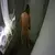 voyeurcam-casa-salsa-bathroom-7