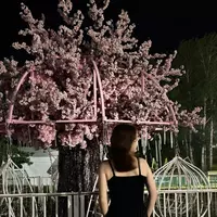 winky-pinky profile