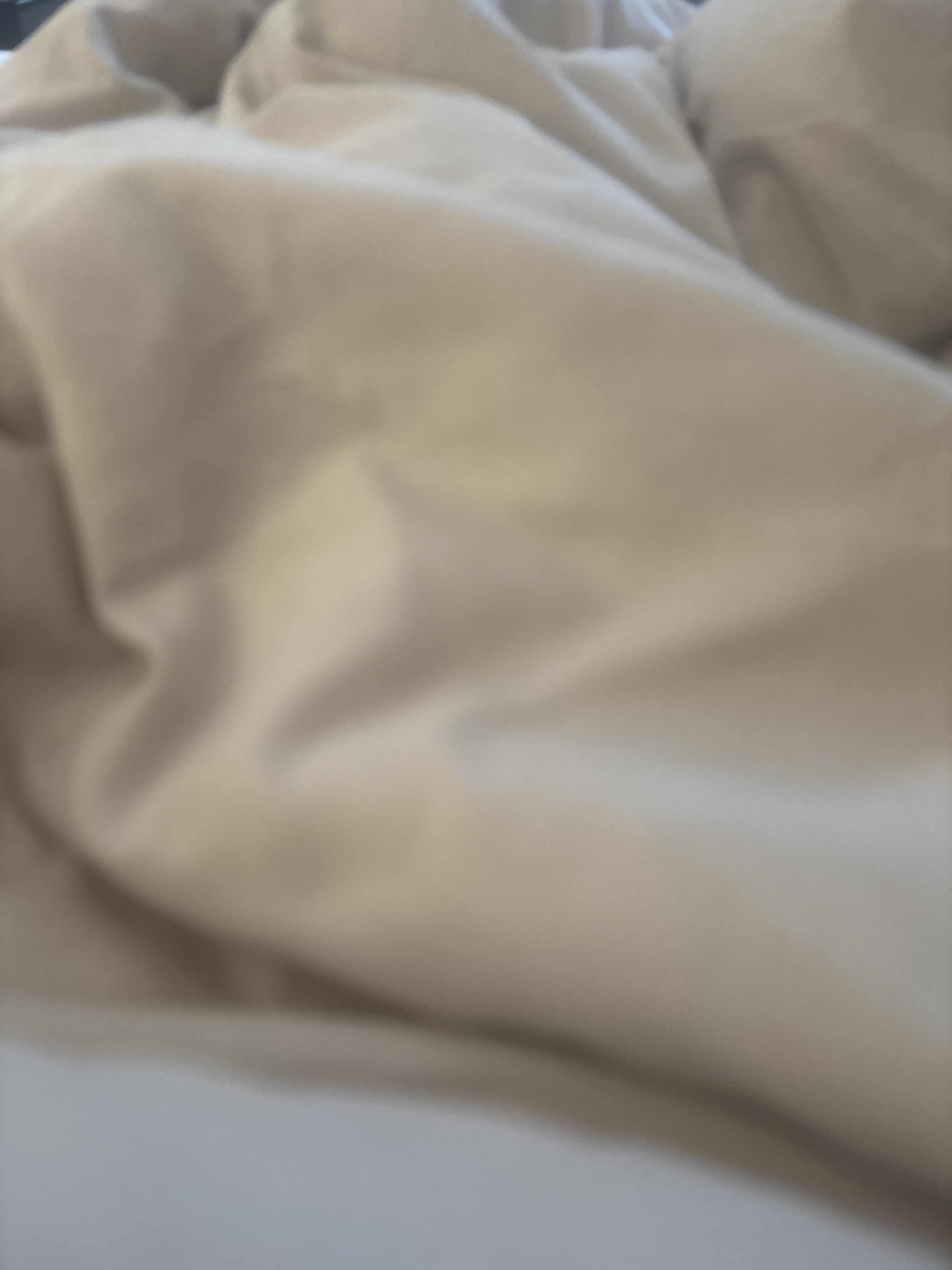 XScarlettRoseX Avatar