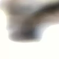zayhammer profile